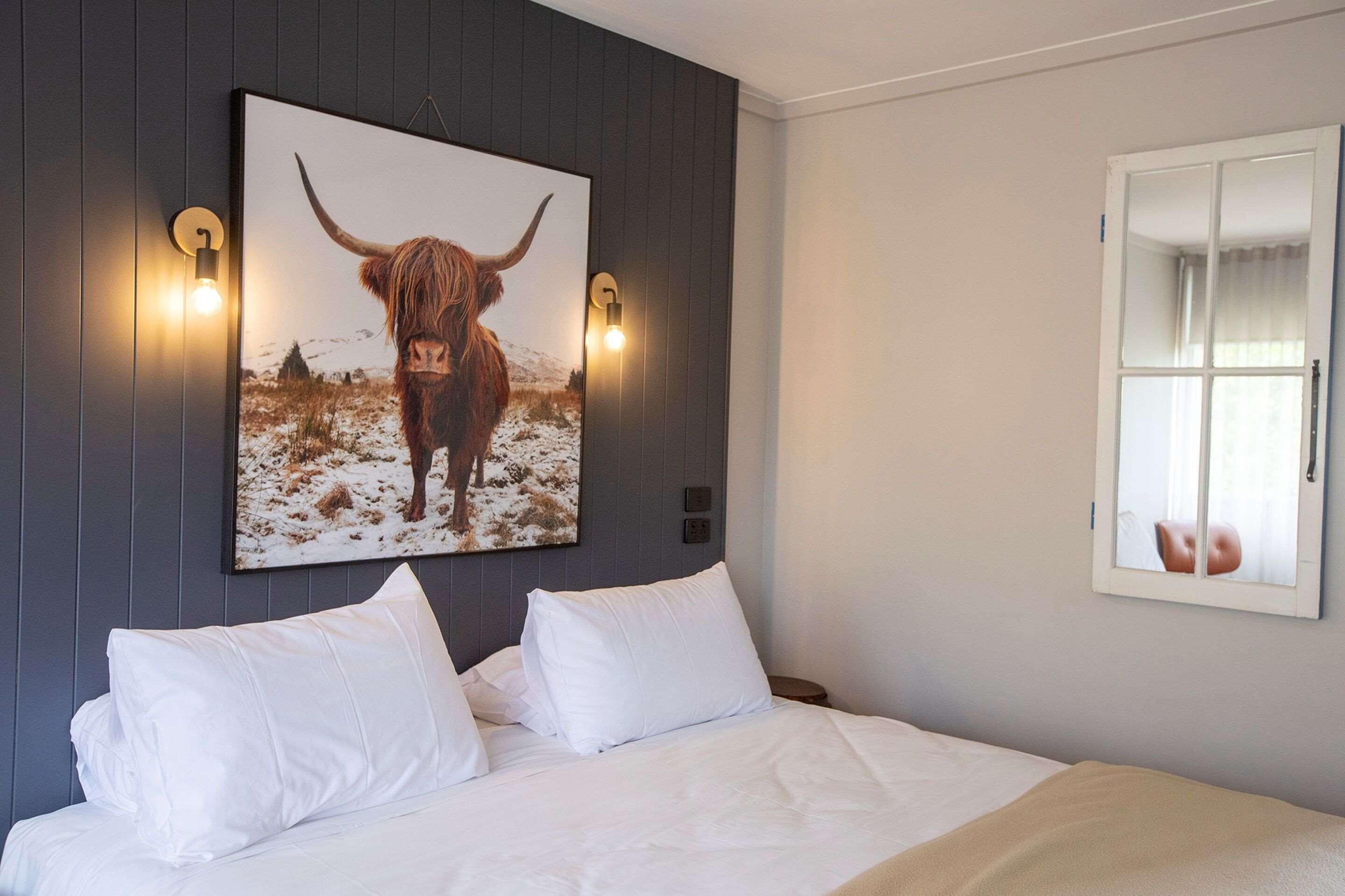 City Centre Motel Armidale Zewnętrze zdjęcie